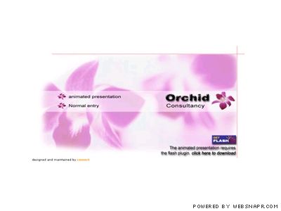 Orchid Consultancy